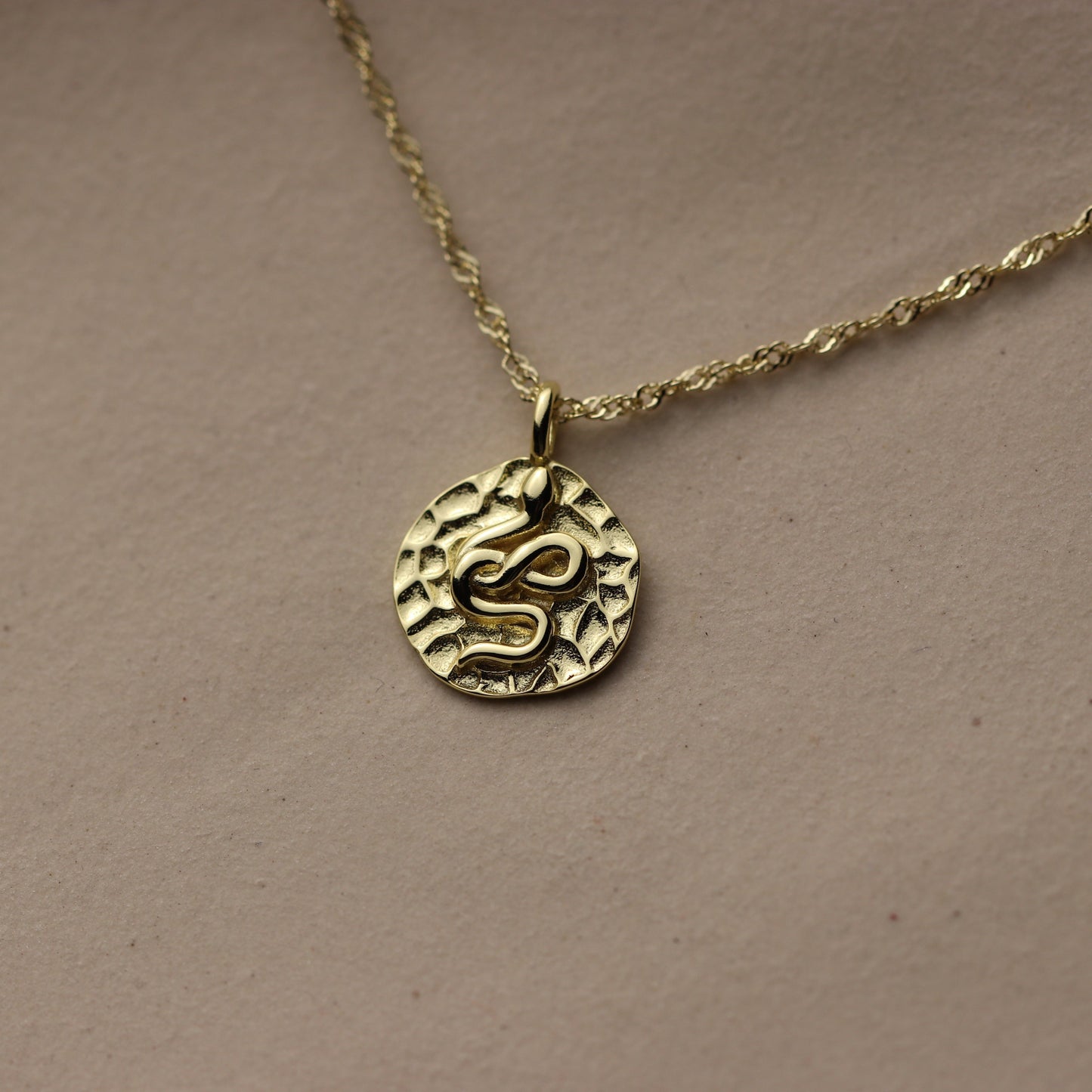 Snake Pendant Protection Necklace