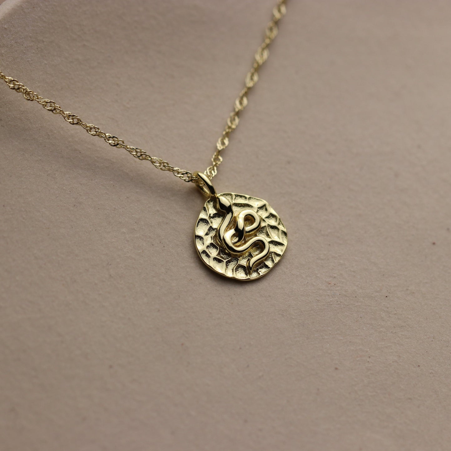 Snake Pendant Protection Necklace