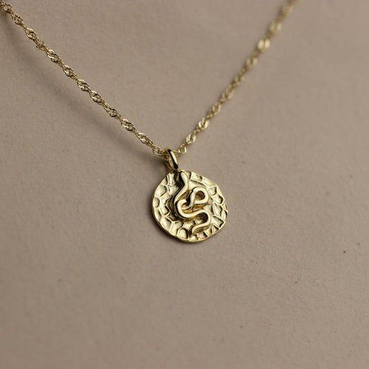Snake Pendant Protection Necklace