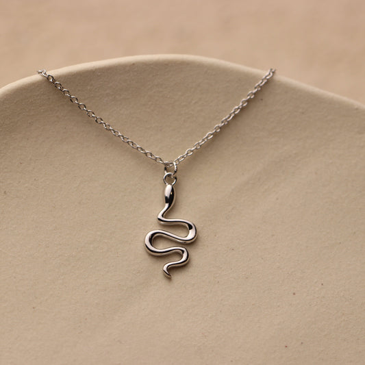 Snake Pendant Protection Necklace