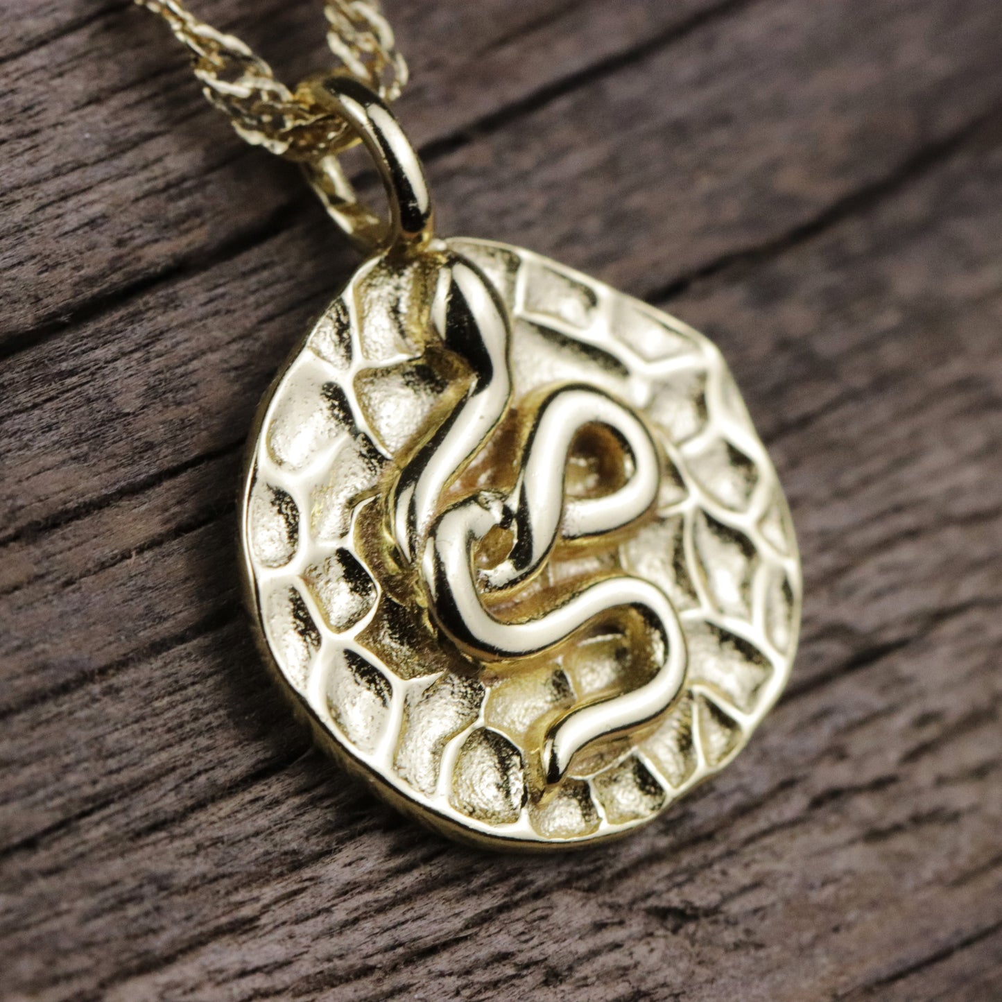 Snake Pendant Protection Necklace