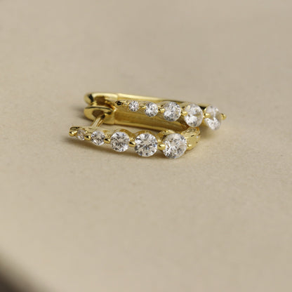 Dainty Stone Gold Hoops